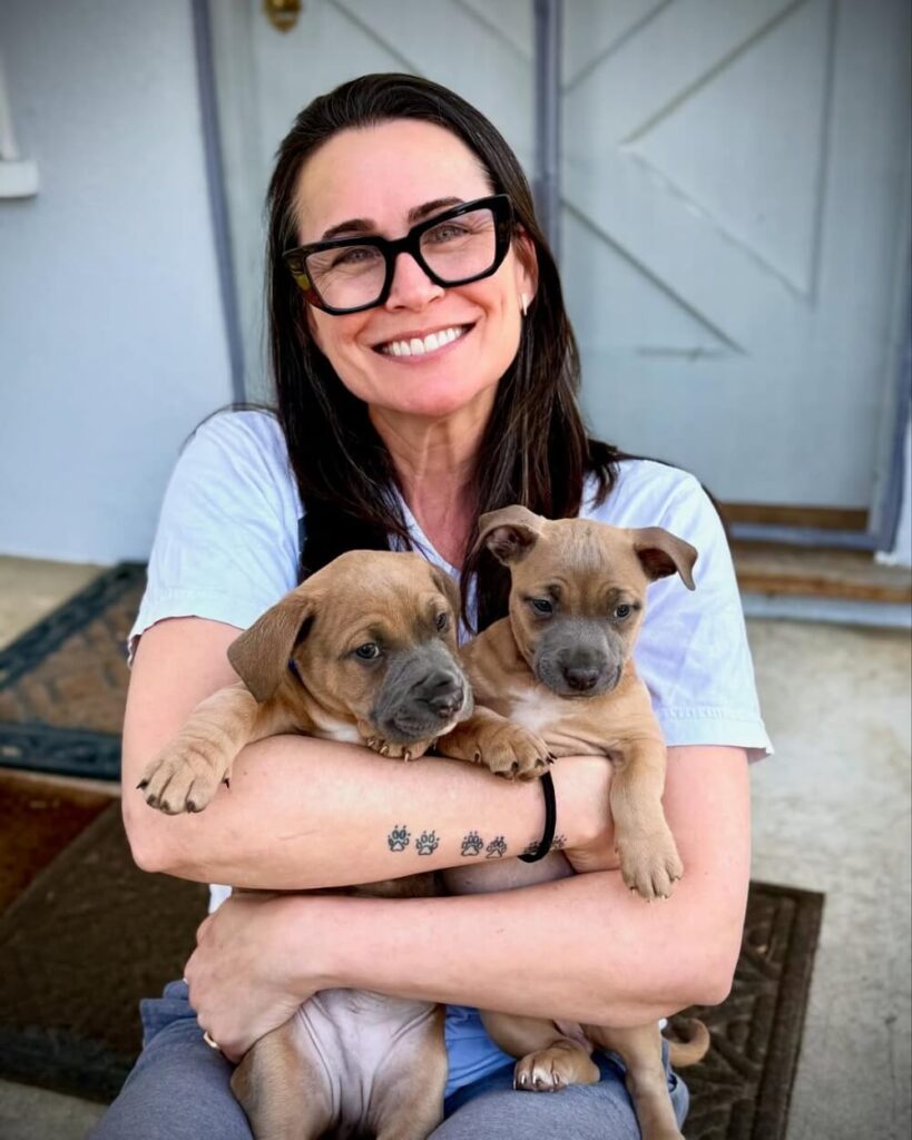 Rena Sofer img